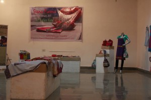 The exhibition Seena Pirona Sachetan